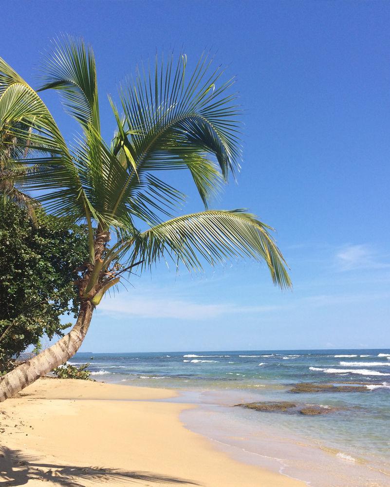 Hostel Las Casitas De Playa Negra Puerto Viejo de Talamanca Exteriér fotografie